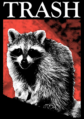 Vintage Red Trash Raccoon