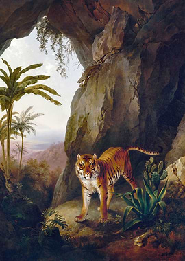 TIGER FOR JACQUES LAURENT