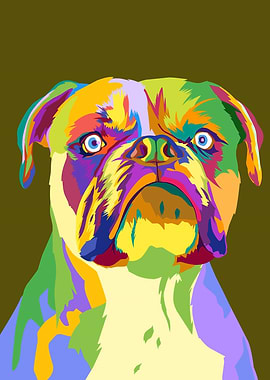 Bullldog pop art