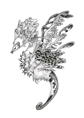 Mystical Hippocampus