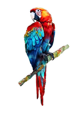 Scarlet Macaw Watercolor