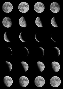 Moon Phases Collage