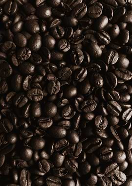 Coffee Beans