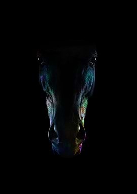 HORSE COLOR MANIPULATION