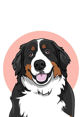 Bernese mountain dog