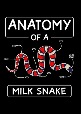 Reptile Collector Boa