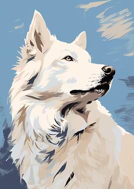 Samoyed