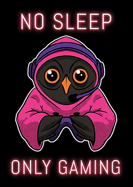 Gamer Owl No Sleep