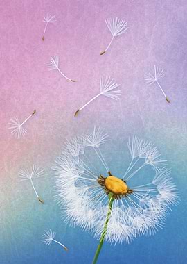 The Last Breath of Summer