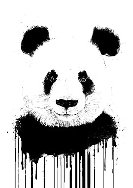 panda