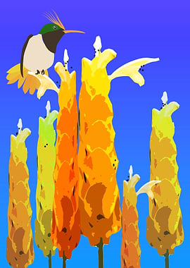 Personal point of view