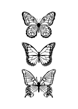 Elegant black butterflies