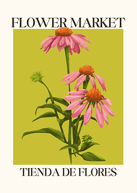 Coneflowers Flower market