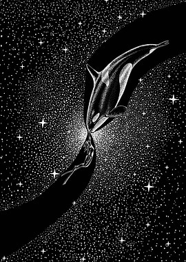 Starry Orca and diver