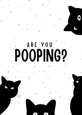 BLACK CAT ARE YOU POOPING