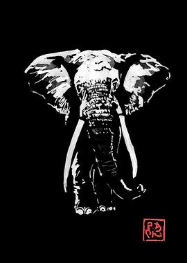 elephant in dark