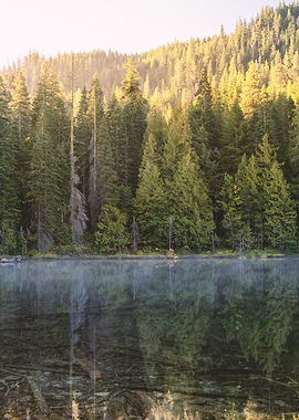 Alpin Lake and Forest PNW