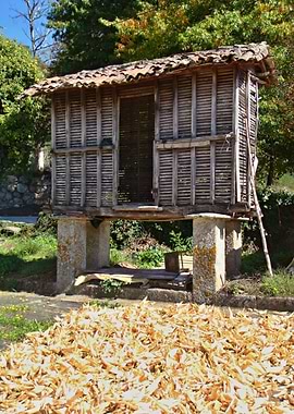 Traditional corn storage