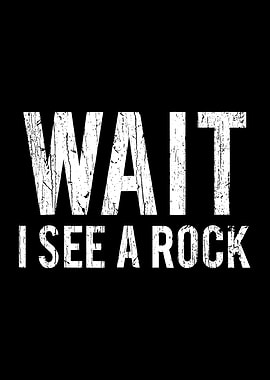 Wait I See A Rock