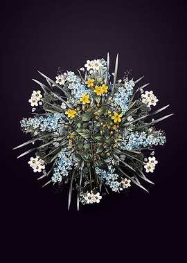 Stinking Tutsan Wreath