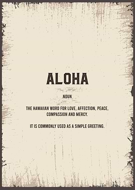 aloha funny definition