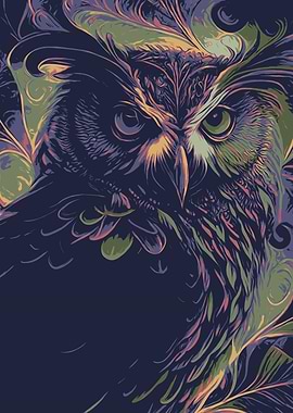 Owl Illustration