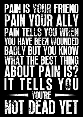 Samurai Quotes Pain