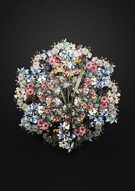 Gladiolus Cuspidatus