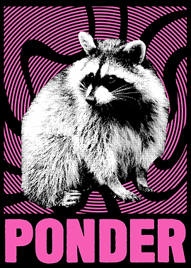 Ponder Raccoon