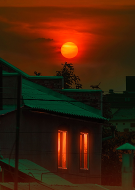 Orange Fog In Halloween