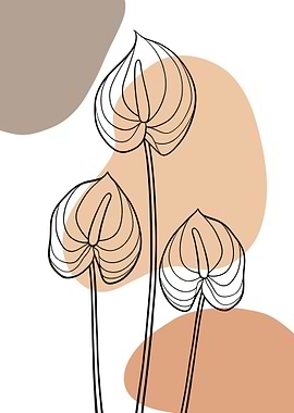 Red anthurium line art