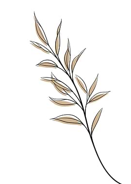 Danae racemosa Minimalist