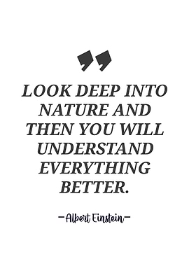 Albert Einstein quote