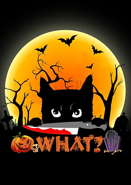 What Black cat Halloween