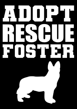 Adopt Rescue Foster Animal