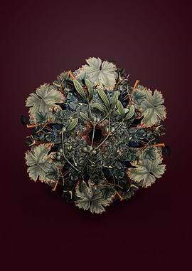 Viscum Album Branch Wreath