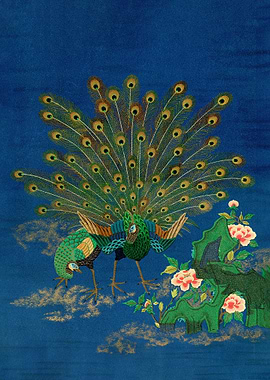 Peacock