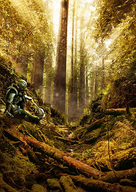 Sitting In The Light