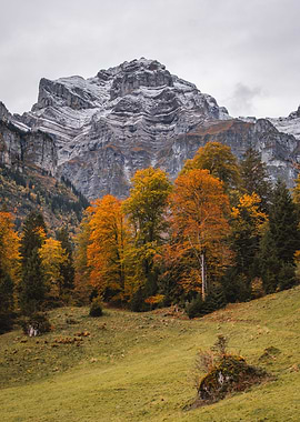 Swiss alpine Fall