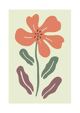 Flowers Illustration