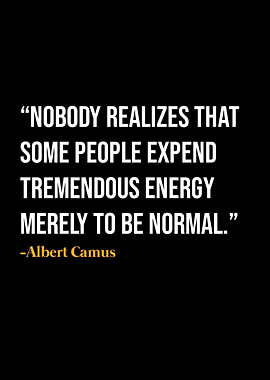 Albert Camus Quote