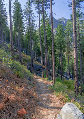 Mountain Hiking Trail PNW