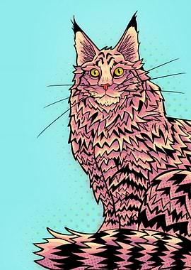 Pink maine coon portrait