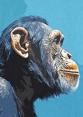 Vintage Gorillas