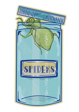 Jar of spiders