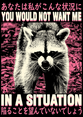In a situation Raccoon