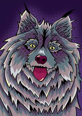 Dark fluffy wolf dog