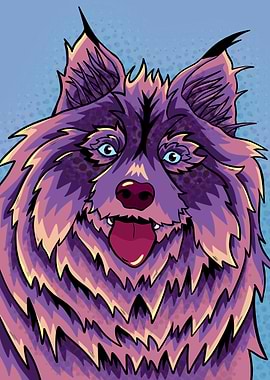 Purple fluffy wolf dog
