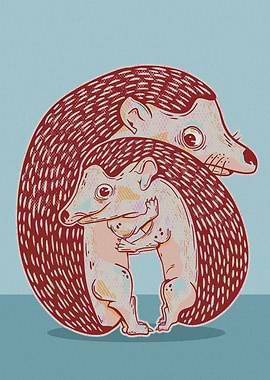 Hedgehogs hugging