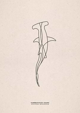 line art hammerhead shark